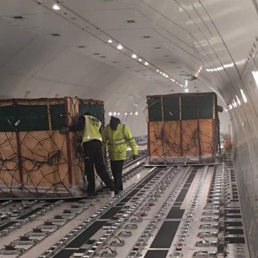 Custom wildlife transport crates secured inside aircraft cargo hold